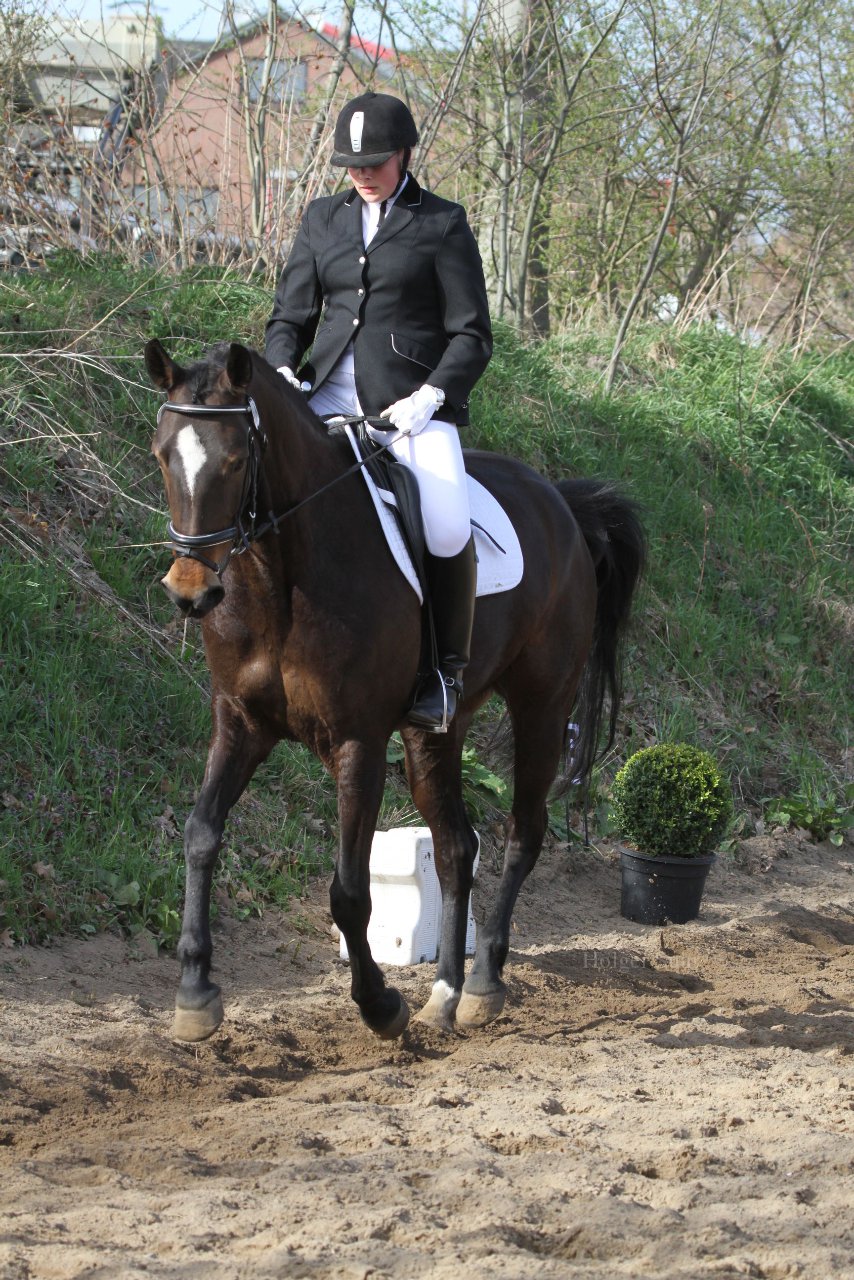 Bild 1166 - WBO-Turnier am 9.4.11